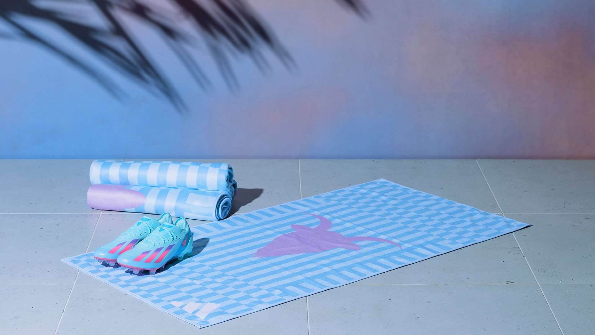 外籍教练的 外籍教练的